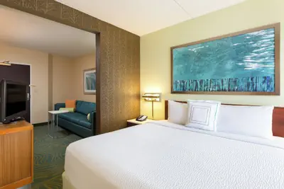 Photo 4 - SpringHill Suites by Marriott Austin South