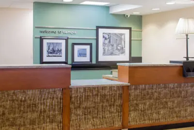 Photo 4 - Hampton Inn Tampa-Veterans Expwy (Airport North)