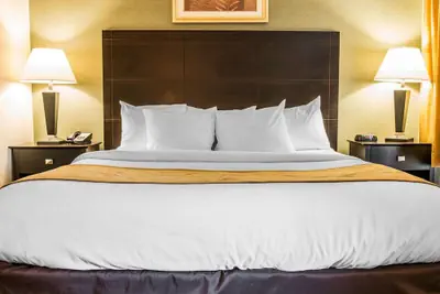 Photo 5 - Comfort Inn Whitehall near Michigan's Adventure