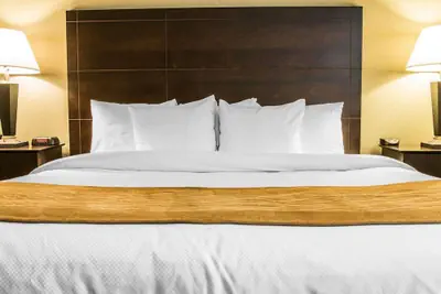 Photo 4 - Comfort Inn Whitehall near Michigan's Adventure