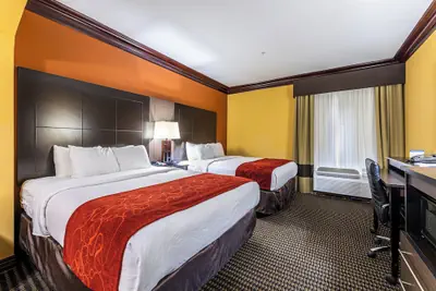 Photo 3 - Comfort Suites Lake Jackson Clute