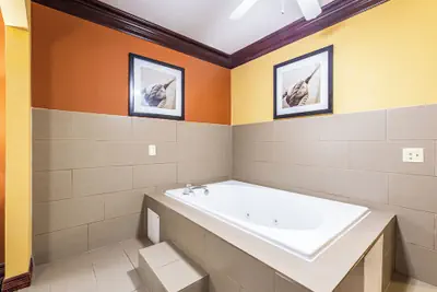 Photo 2 - Comfort Suites Lake Jackson Clute