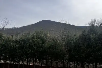Photo 3 - Spark by Hilton Asheville Blue Ridge Parkway