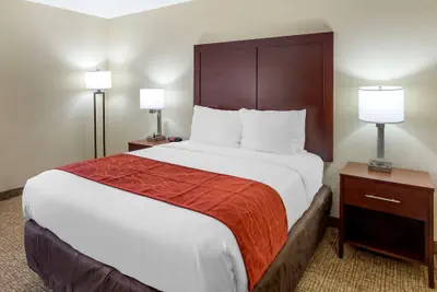 Photo 5 - Comfort Inn Hoffman Estates - Schaumburg