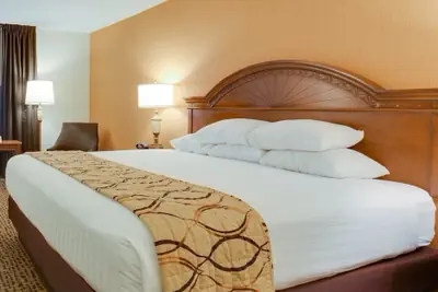 Photo 5 - Wingate by Wyndham St. Louis/Fenton Route 66