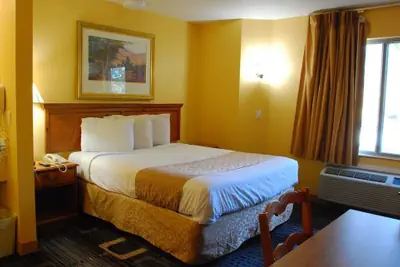 Photo 5 - Americas Best Value Inn Addison Dallas