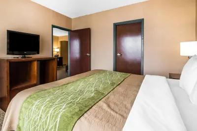 Photo 5 - Quality Inn & Suites Towanda
