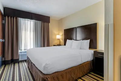 Photo 5 - Comfort Inn & Suites Triadelphia - Wheeling