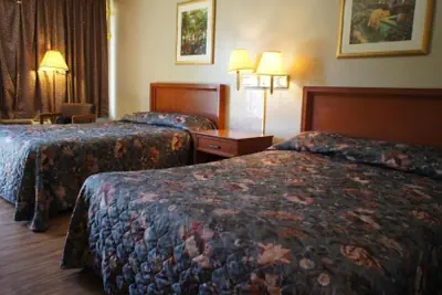 Photo 5 - Executive Inn & Suites