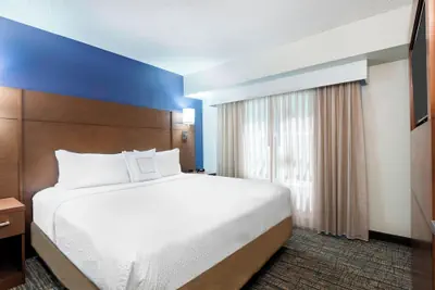 Photo 5 - Residence Inn by Marriott Tampa at USF/Medical Center