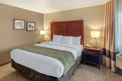 Photo 4 - Comfort Inn Missoula near University