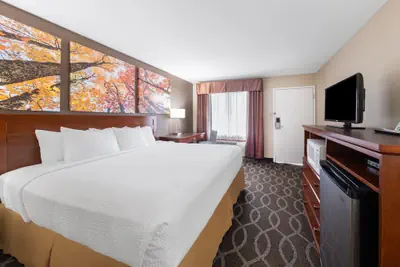 Photo 5 - Days Inn by Wyndham St. Robert Waynesville/Ft. Leonard Wood