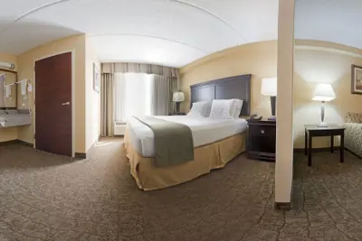 Photo 4 - Holiday Inn Express Hotel & Suites DFW Airport South by IHG