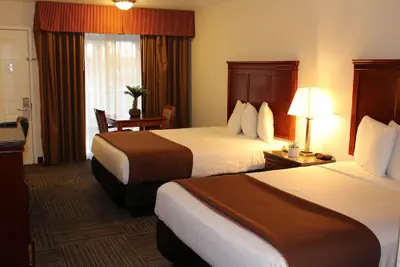 Photo 5 - Rodeway Inn Santa Clara El Camino Real