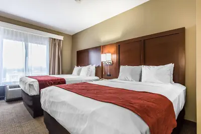 Photo 2 - Comfort Suites Effingham Central