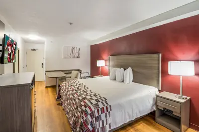 Photo 4 - Red Roof Inn Rochester – Airport