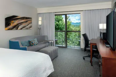 Photo 2 - Courtyard by Marriott Asheville