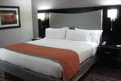 Photo 5 - Holiday Inn Express & Suites Nashville Southeast - Antioch by IHG