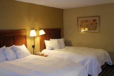 Photo 3 - Baymont by Wyndham Lewisville
