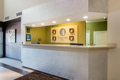 Photo 4 - Comfort Inn Camden