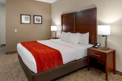 Photo 3 - Comfort Inn & Suites Canton Riverstone Area