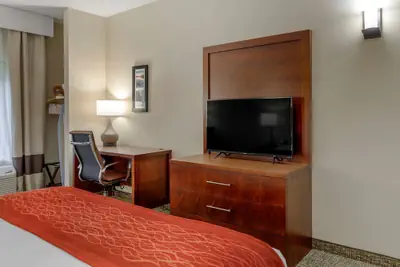 Photo 5 - Comfort Inn & Suites Canton Riverstone Area
