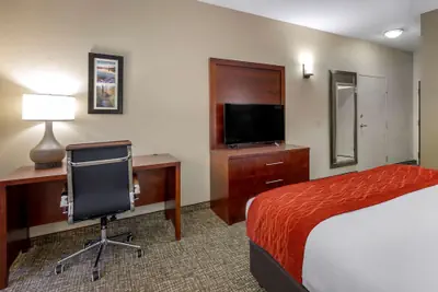 Photo 4 - Comfort Inn & Suites Canton Riverstone Area