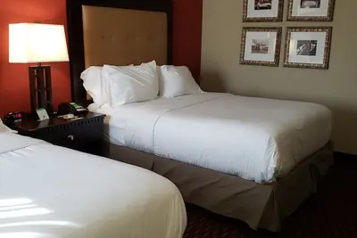 Photo 3 - Wyndham Garden Dover