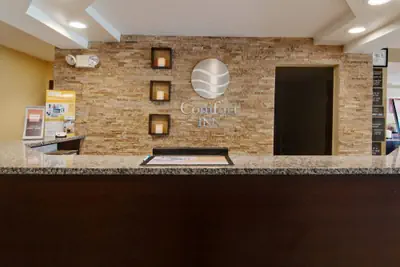 Photo 4 - Comfort Inn Mount Airy