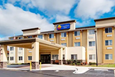 Photo 2 - Comfort Inn Mount Airy