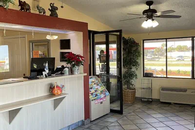 Photo 4 - Knights Inn Punta Gorda