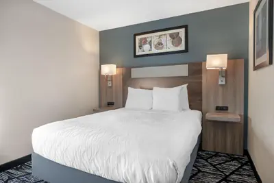 Photo 5 - Best Western Plus Anderson