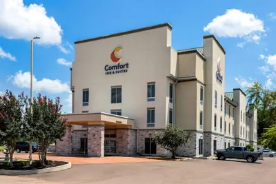 Photo 2 - Comfort Inn & Suites Grenada