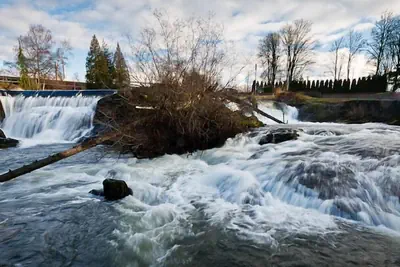 Photo 5 - Holiday Inn Express & Suites Tumwater – Olympia by IHG