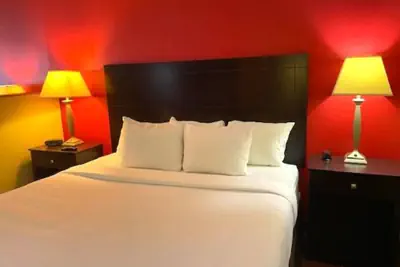 Photo 5 - Comfort Inn & Suites Morton - Peoria