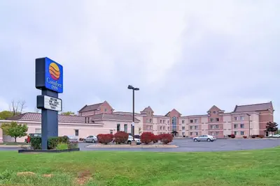 Photo 2 - Comfort Inn Birch Run - Frankenmuth