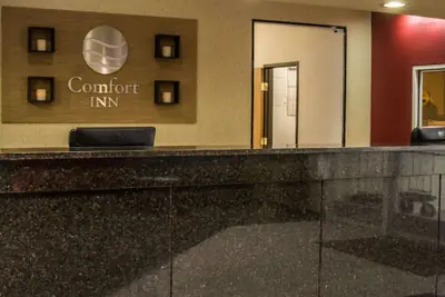 Photo 4 - Comfort Inn Birch Run - Frankenmuth