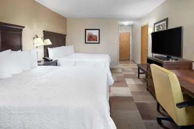 Photo 5 - Hampton Inn Dallas-Irving-Las Colinas
