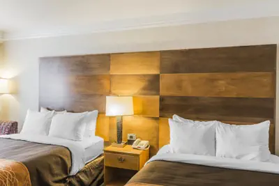 Photo 5 - Comfort Inn & Suites Durango
