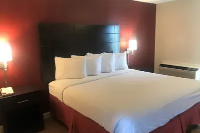 Photo 4 - Red Roof Inn & Suites San Angelo