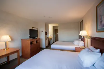 Photo 4 - Vagabond Inn Executive - Green Valley
