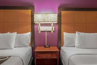 Photo 4 - La Quinta Inn & Suites by Wyndham Naples East (I-75)