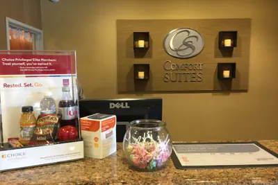 Photo 5 - Comfort Suites Near Six Flags Magic Mountain