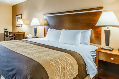 Photo 2 - Quality Inn & Suites Mount Pleasant