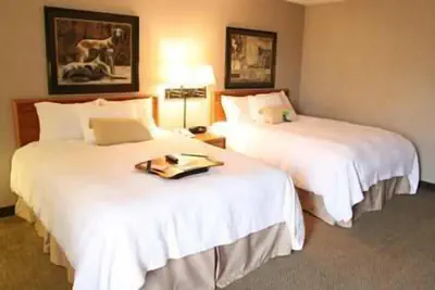 Photo 5 - Hampton Inn Columbus/Taylorsville/Edinburgh