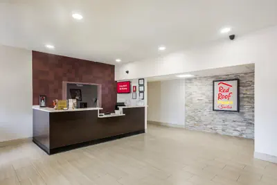 Photo 4 - Red Roof Inn PLUS+ & Suites Savannah - I-95