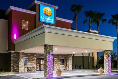 Photo 2 - Comfort Inn & Suites Pharr - McAllen