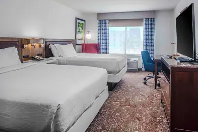 Photo 5 - Hilton Garden Inn Sarasota - Bradenton Airport
