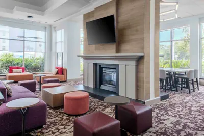 Photo 3 - Hilton Garden Inn Sarasota - Bradenton Airport