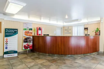 Photo 4 - Quality Inn Chicopee - Springfield